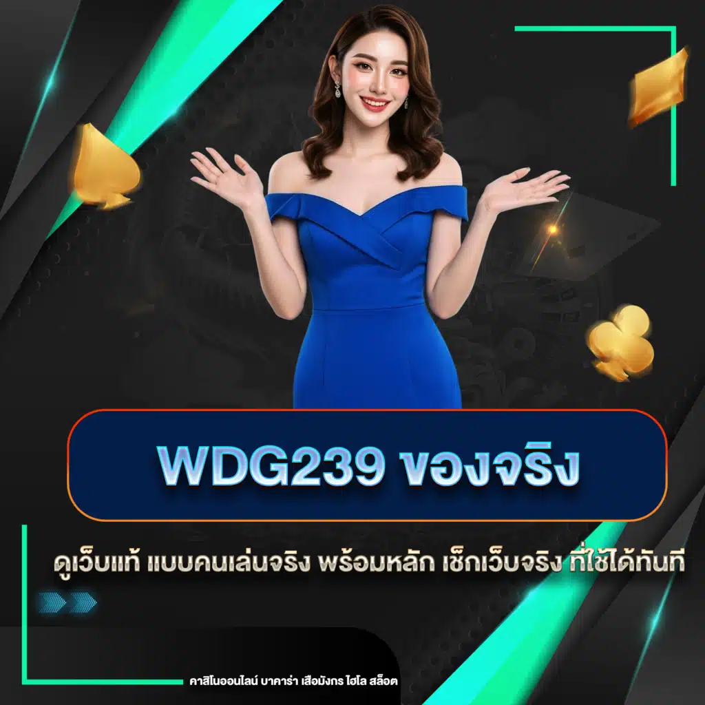 wdg239 ของจริง